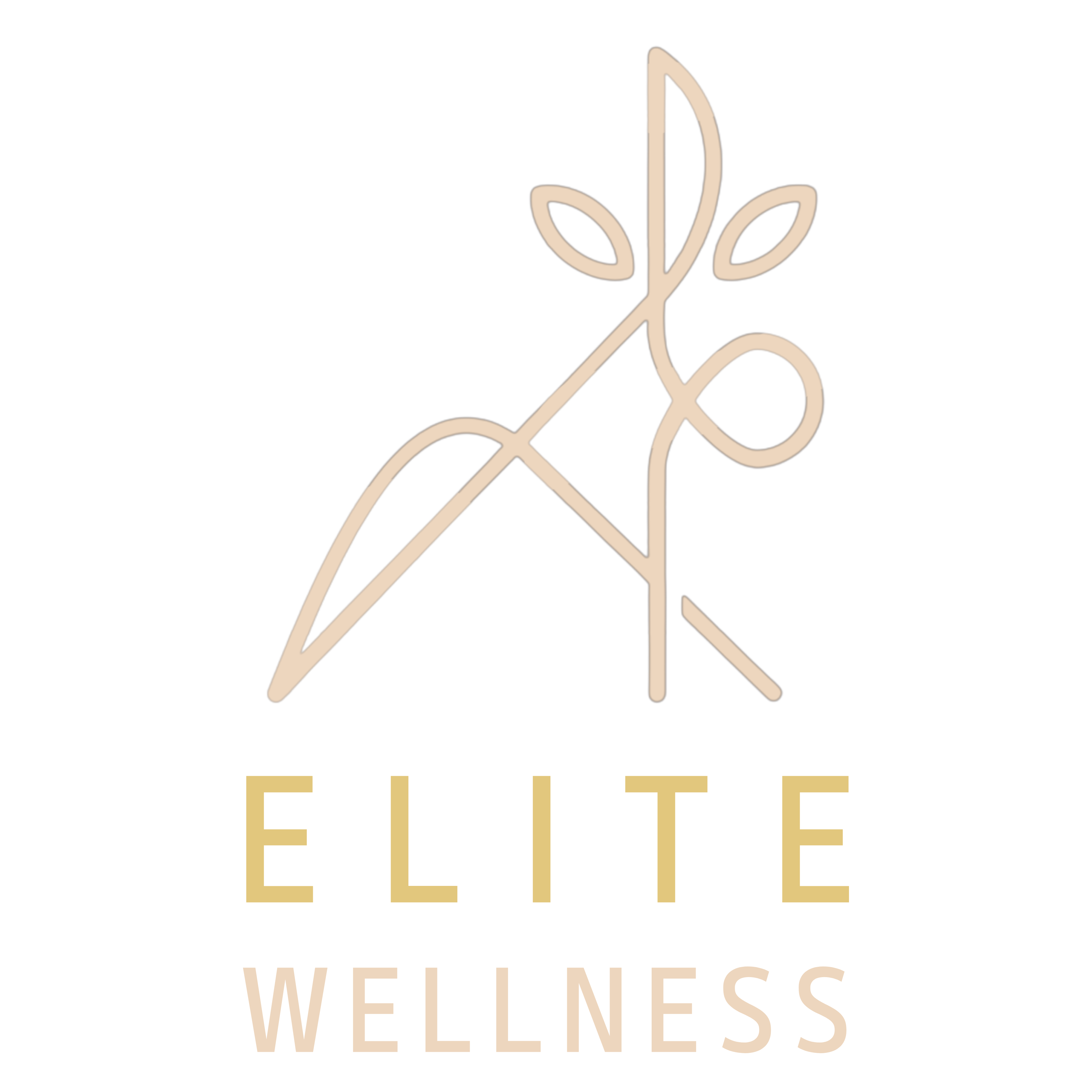 御力健康事業 elite wellness